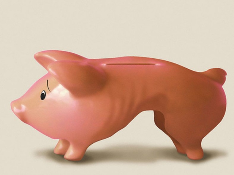 skinny-piggy-bank-900x675